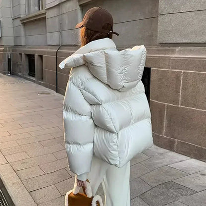 Women’s Quilted Jacket with High Collar and Hood Winter